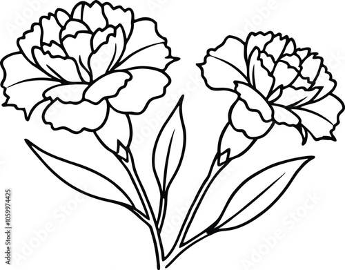 Dianthus Flower Coloring Page-Line Art Illustration of Flowers with Stem and Leaves