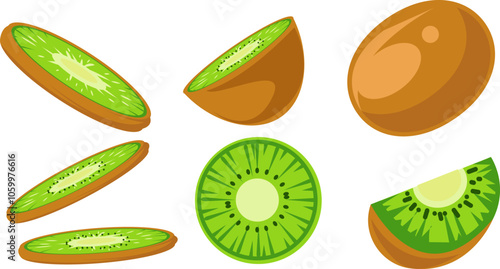 Fresh Kiwi Fruit Illustrations in Various Cuts