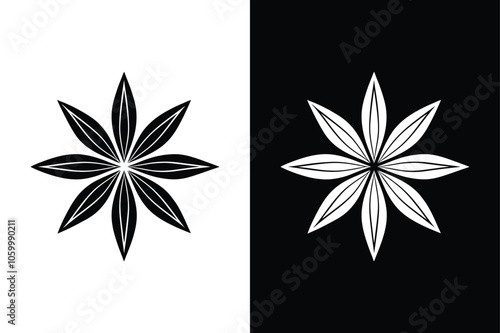 Exotic Star Anise Spice Icon Silhouette in Black and White Vector