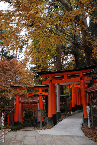 Japanese shrine in kyoto， Senbon Torii (1000 gates) / 千本鳥居，稲荷大社(稲荷神社) @古都京都 photo