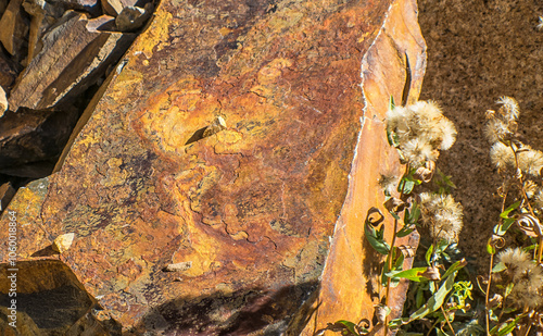 Rusty Rock and Weeds