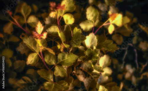 Soft Sunset Leaves Still Life