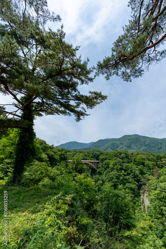 初夏の鳴子峡