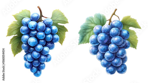 Grapes showcase vibrant blue bunches on lush green leaves for culinary delights