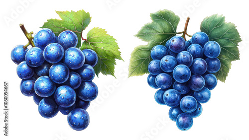 Grapes display vibrant colors and lush texture in perfect arrangement for culinary inspiration