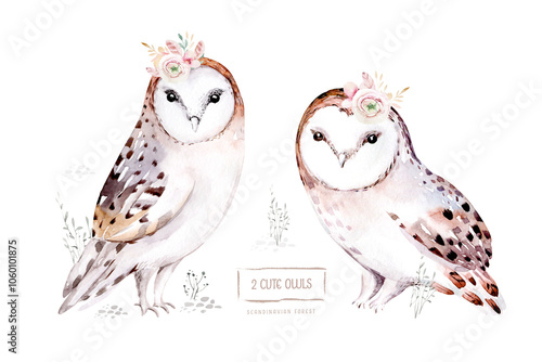 Woodland watercolor cute animals baby owl. Scandinavian owls on forest nursery poster design. Isolated charecter photo