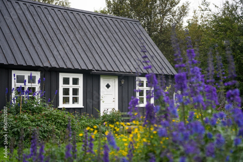 Botanischer Garten von Akureyri  photo