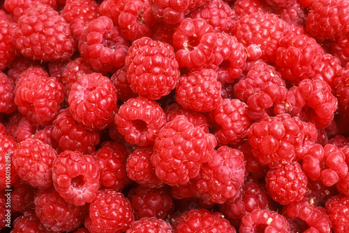 Rubus idaeus, Framboisier, Framboise