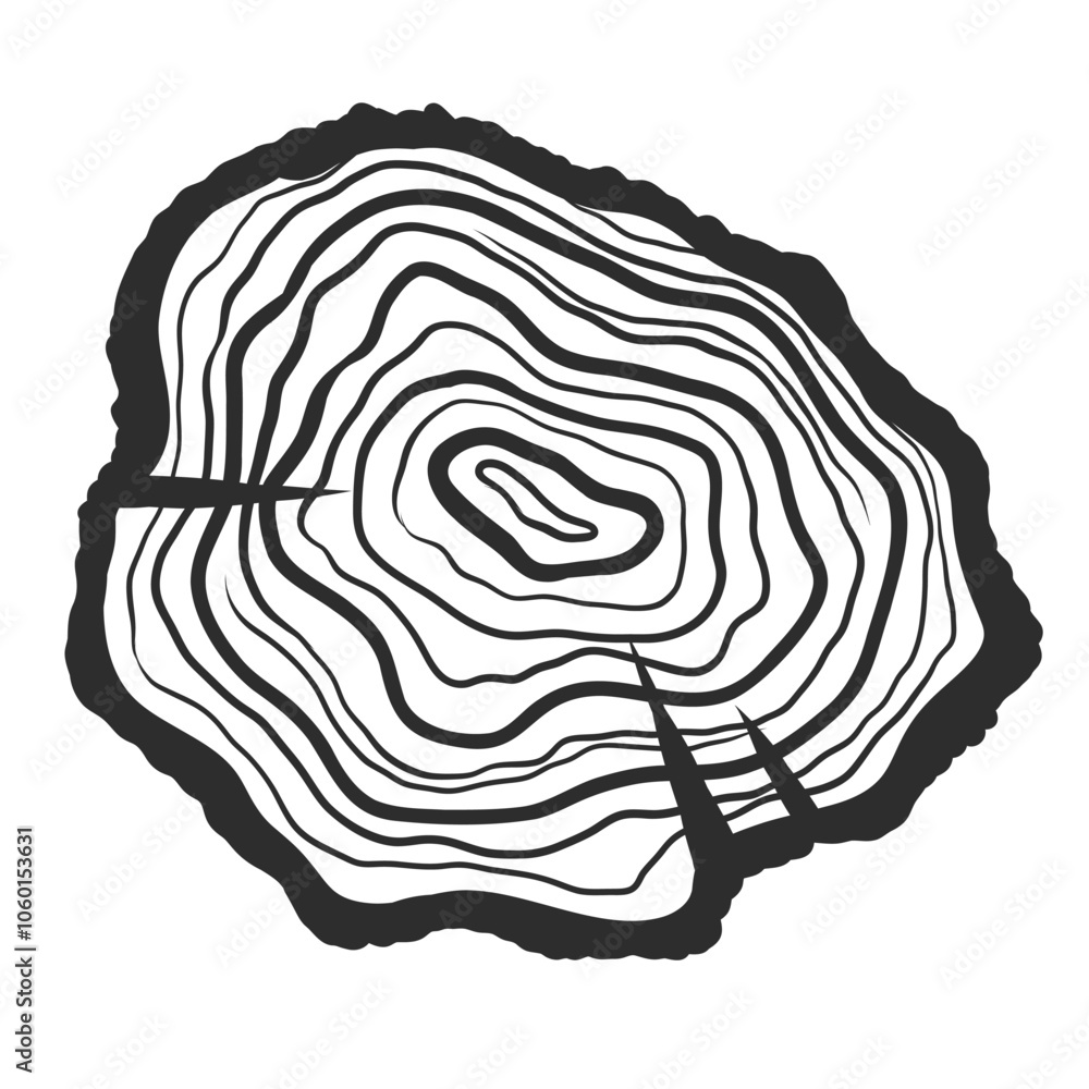 Fototapeta premium Wood stump with cracks. Wooden texture on circle slab. Tree rings on trunk. Hand drawn vector illustration isolated on white background. Monochrome black and white drawing.