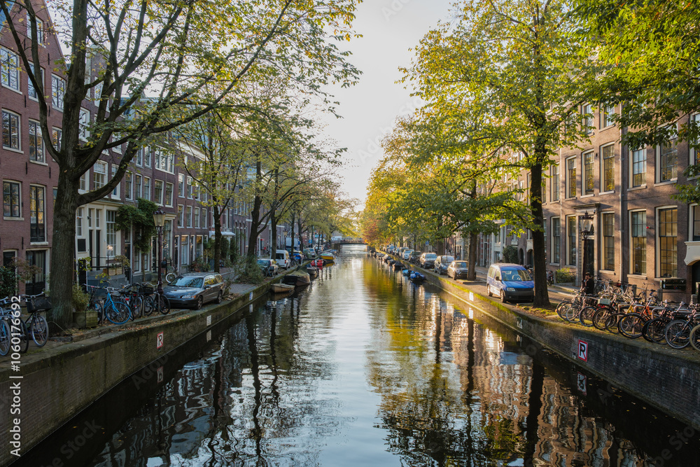 Fototapeta premium Autumn tranquility along the serene canals of Amsterdam, Netherlands, surrounded by vibrant foliage