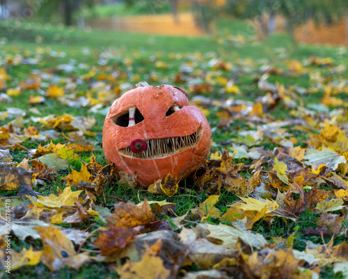 beautiful Halloween pumpkin, carved pumpkin for Halloween celebration