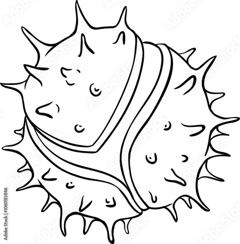 Chestnut Nut Outline Illustration. 