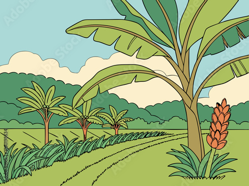 banana tree field scenery