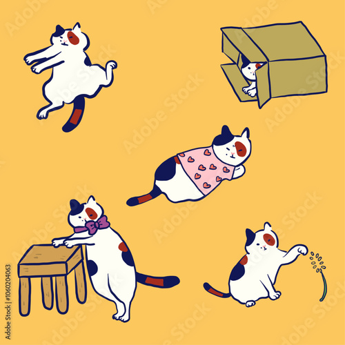 三毛猫の日常　イエロー