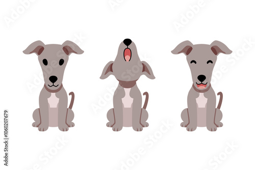 Set of vector cartoon character greyhound dog for design.