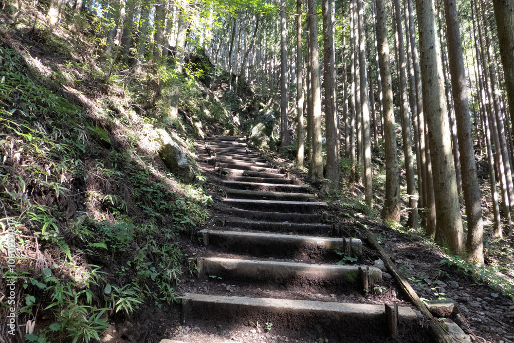 Obraz premium 日の出山の道中