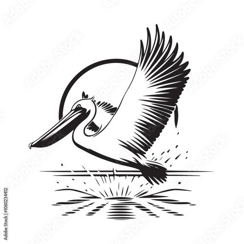 Pelican Splashing Water Image. Pelican flying over the water surface vector image.