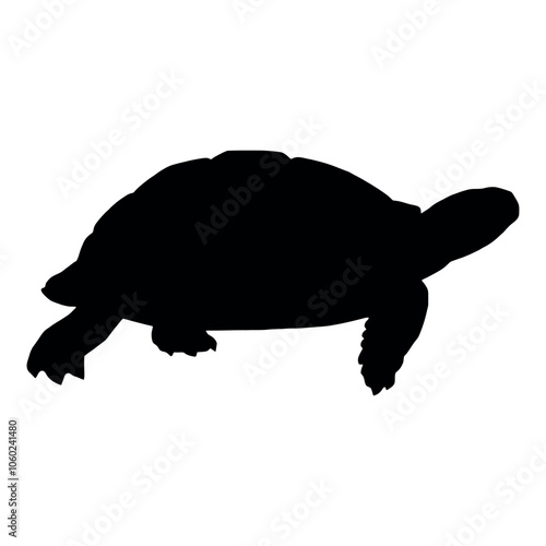 a turtle walking on the ground silhouette isolated white background