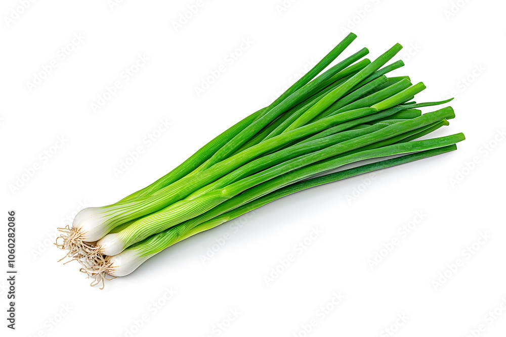 Fresh green onions isolated on white background Fresh green onions isolated on white background
