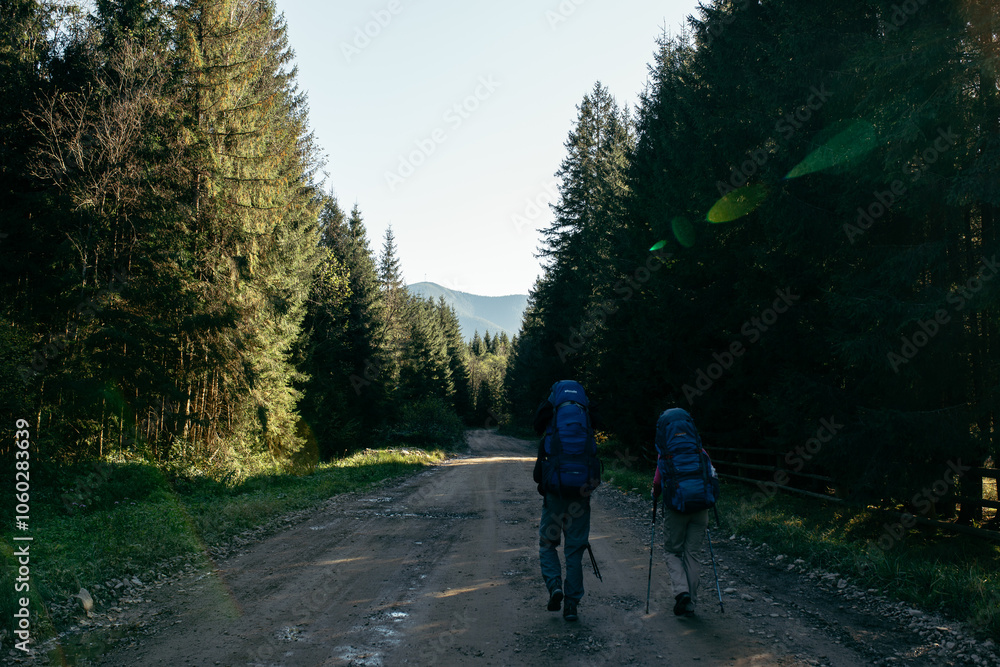 Obraz premium walk in the park