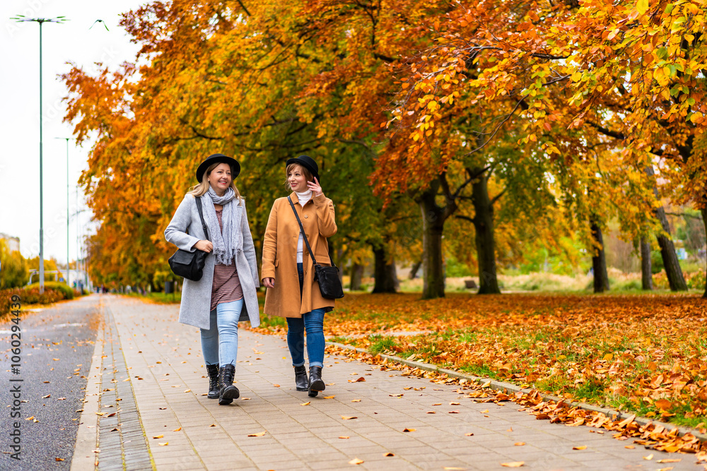Fototapeta premium Autumn in city. Two young beautiful women wearing coats, jeans and black brimmed hats talking while walking on sidewalk in city on autumn day,golden trees in background. Meeting of friends. Front view