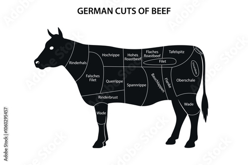 Diagram of German Beef Cuts on Cattle Silhouette