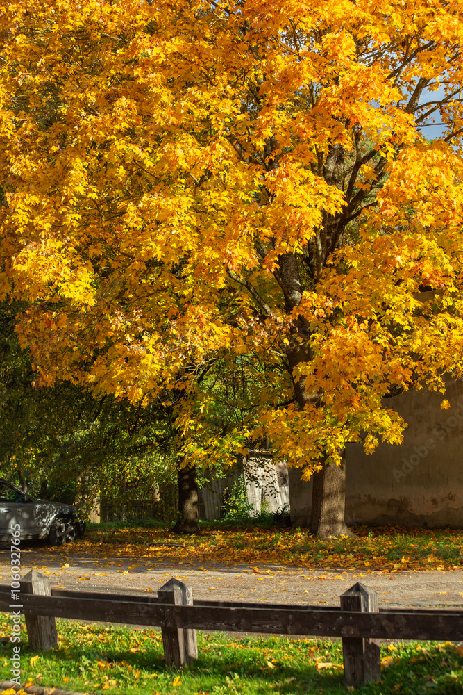 Naklejka premium Autumn view of the city, wooden fence. Kuldiga, Latvia
