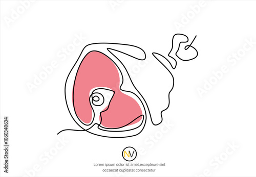 Pork knuckle in one line. Vector illustration of a continuous line of raw meat, meat on bone, pork. The concept of cooking meat dishes