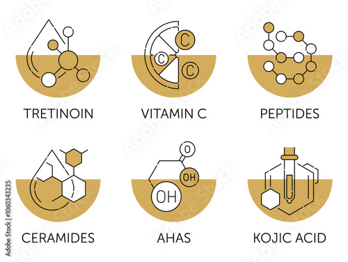 Peptides, Vitamin C, Tretinon, Kojic acid, AHAS and Ceramides - in thin line and semicircles
