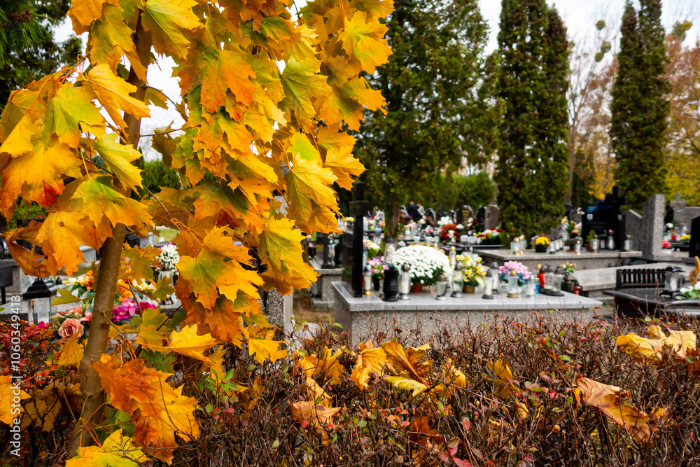 Graves with candles during the All Souls' Day celebration on November 1st. Golden, autumn leaves in the foreground. Photo taken during the day in natural light