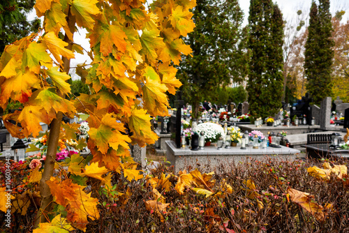 Obraz na płótnie Graves with candles during the All Souls' Day celebration on November 1st. Golden, autumn leaves in the foreground. Photo taken during the day in natural light w salonie