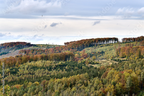Sauerland