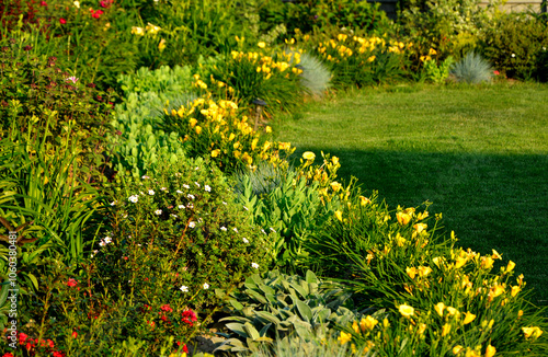 kolorowa rabata kwiatowa otoczona niskimi liliowcami odmiany Stella d'Oro, kwietnik otoczony obwódką z żółtych liliowców, Hemerocallis, Stella D'Oro Daylily Garden
 photo