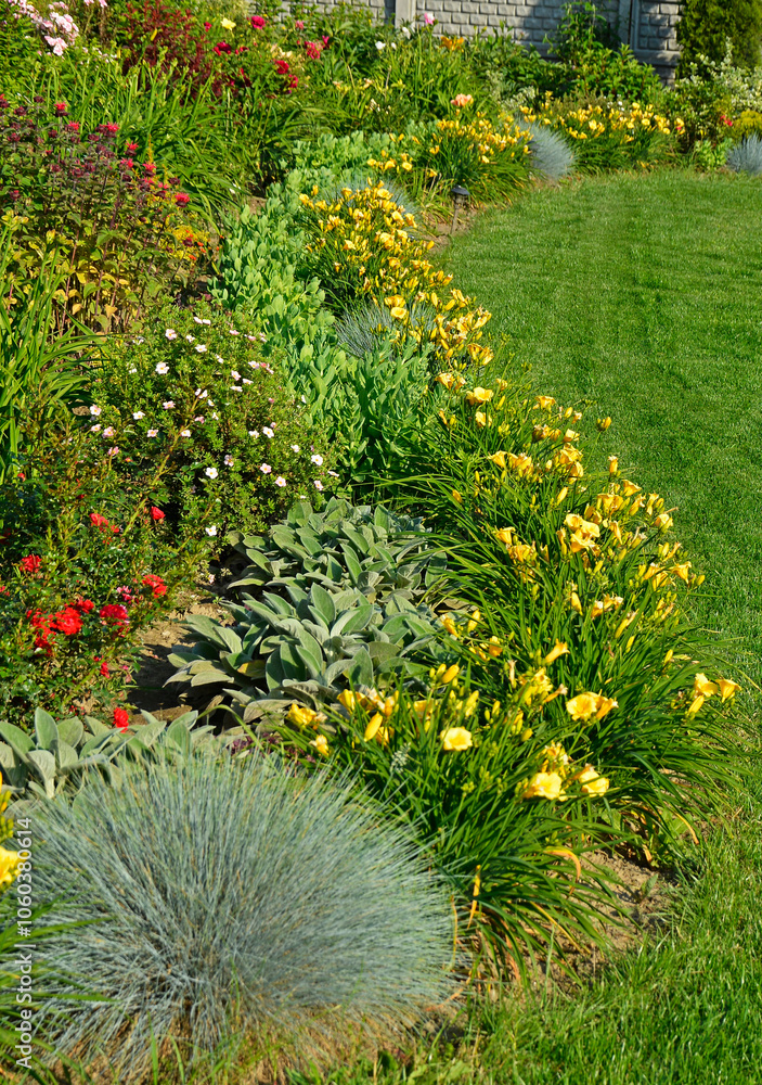 kolorowa rabata kwiatowa otoczona niskimi liliowcami odmiany Stella d'Oro, kwietnik otoczony obwódką z żółtych liliowców, Hemerocallis, Stella D'Oro Daylily Garden