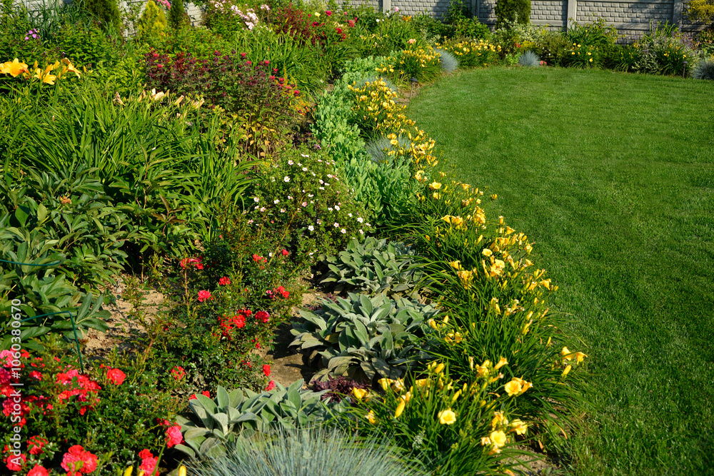 kolorowa rabata kwiatowa otoczona niskimi liliowcami odmiany Stella d'Oro, kwietnik otoczony obwódką z żółtych liliowców, Hemerocallis, Stella D'Oro Daylily Garden