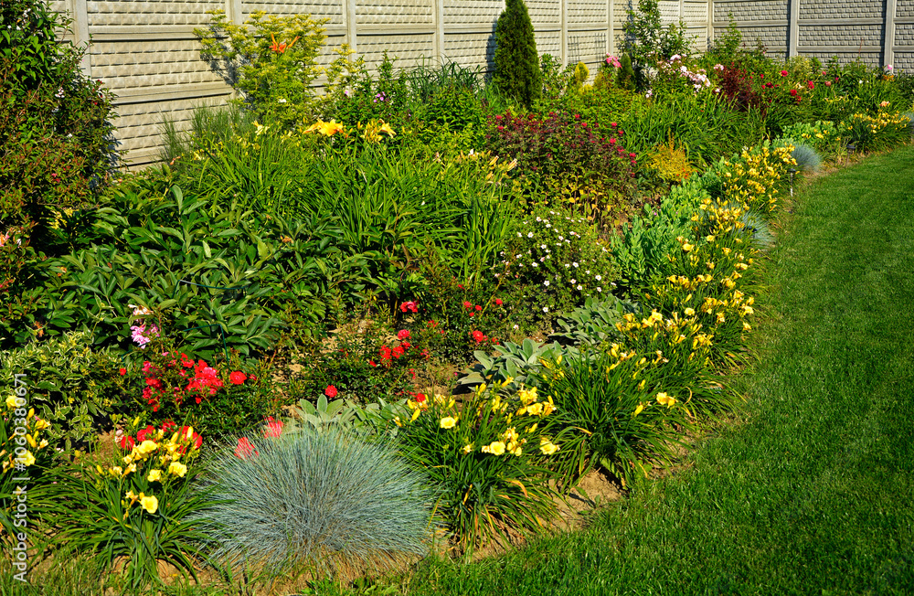 kolorowa rabata kwiatowa otoczona niskimi liliowcami odmiany Stella d'Oro, kwietnik otoczony obwódką z żółtych liliowców, Hemerocallis, Stella D'Oro Daylily Garden
