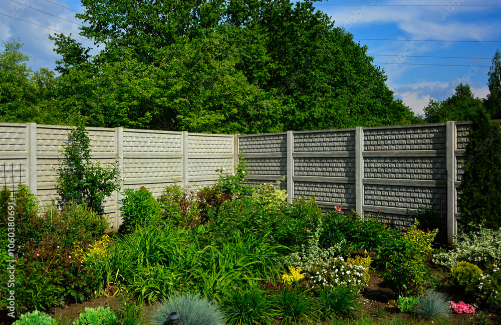 Fototapeta premium ogród otoczony murem, krzewy i byliny w ogrodzie, garden with a gray wall, shrubs and perennials in the garden with a concrete wall, concrete wall and garden bed with grass and plants