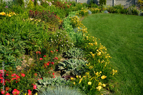 Obraz na płótnie kolorowa rabata kwiatowa otoczona niskimi liliowcami odmiany Stella d'Oro, kwietnik otoczony obwódką z żółtych liliowców, Hemerocallis, Stella D'Oro Daylily Garden
w salonie