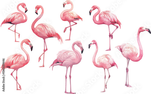 flamingo watercolor clipart	