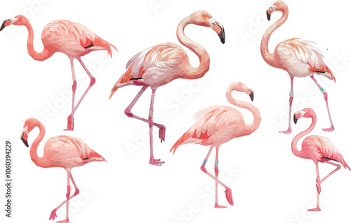 flamingo watercolor clipart	