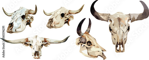 cow skull watercolor clipart	