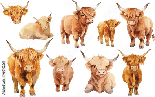  boho baby highland cow watercolor clipart
