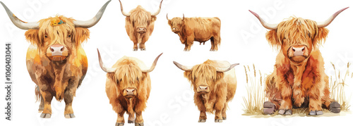 boho baby highland cow watercolor clipart	 photo