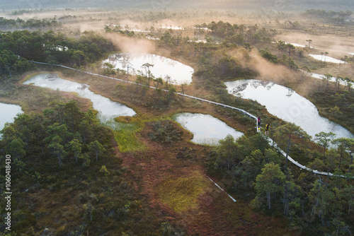 Nature of Estonia, hiking trail on a Seli swamp, bog at sunrise, fog from lakes, photo view from a drone. photo