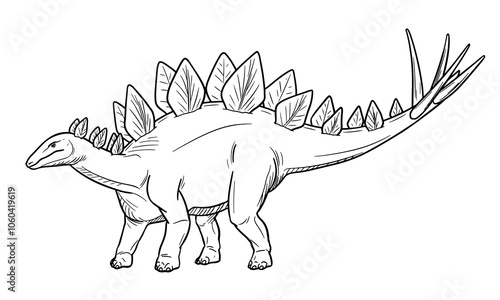 Vector line art illustration of dinosaur Stegosaurus. Black and white outline.