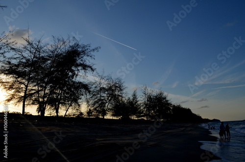 Sunset on the beach merge with silhouette of trees by the sea  photo