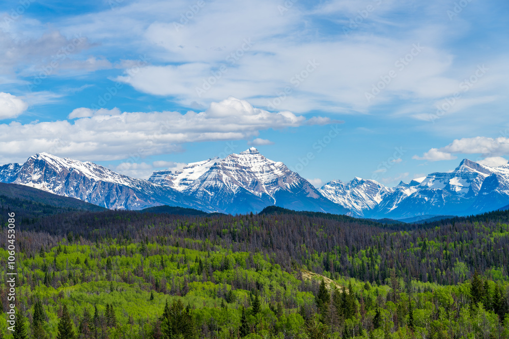 Obraz premium Jasper National Park Canadian Rockies nature scenery. Alberta, Canada. Forest and snow capped mountains in summer. View from Old fort point trailhead.