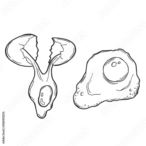 Fresh, boiled and fried eggs, outline icons. Simple broken chicken and quail eggs with cracked eggshell, drawn boiled eggs half and slices vector illustration.