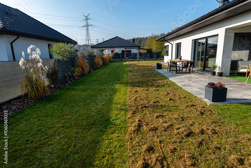 Scarifying the lawn before the winter season using an electric scarifier. photo