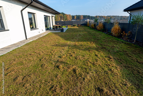 Scarifying the lawn before the winter season using an electric scarifier. photo